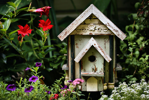 The Best Beach Themed Birdhouses For Your Home