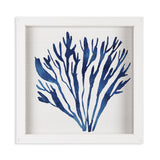 Coral Icon - 11CORAL-IND / 10.85x10.85 Framed Wall Decor