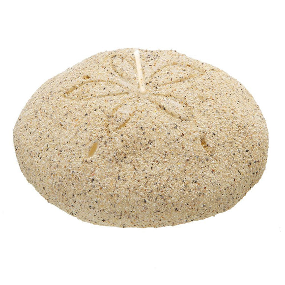 Shell Shaped Candle - Sand Dollar - CW 516