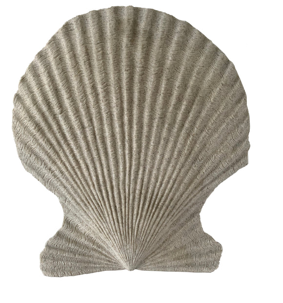 Sand Colored Scallop Wall Décor (16