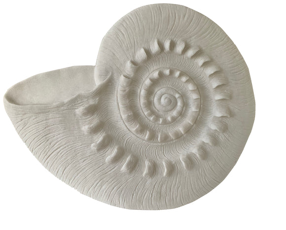 Large White Shell Décor (27.1